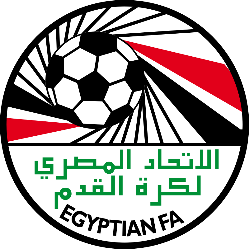 إيقاف نجل عضو مجلس اتحاد الكرة المصري عامين بسبب المنشطات